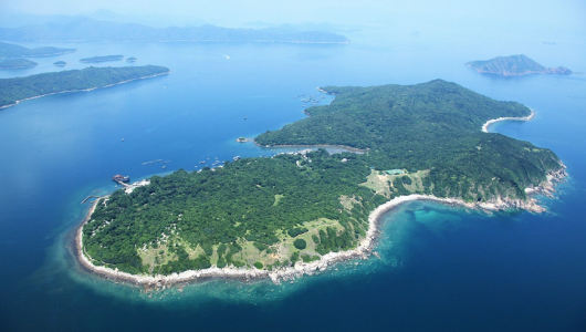 “塔门海岛一日游”活动通知